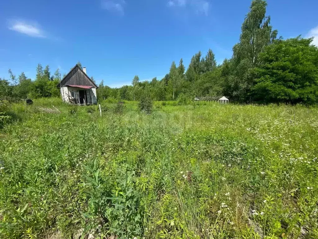 Участок в Брянская область, Брянск Рассвет садовое общество, 2 (7.4 ... - Фото 0
