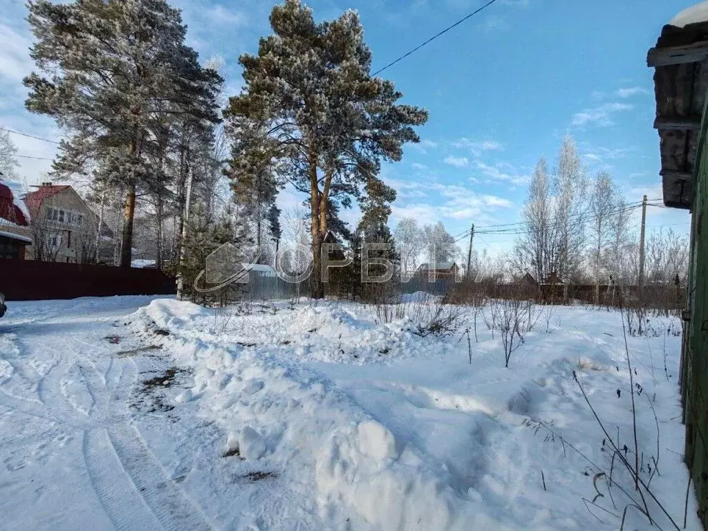 Участок в Тюменская область, Тюмень СОСН Тура тер., ул. Здоровья (6.4 ... - Фото 0