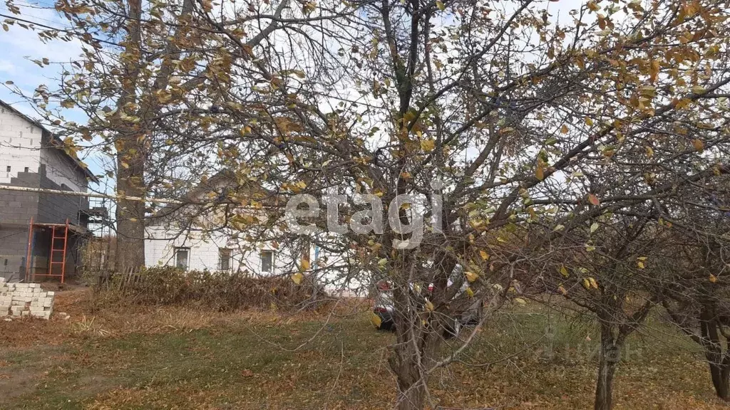 Дом в Белгородская область, Корочанский муниципальный округ, с. Заячье ... - Фото 2