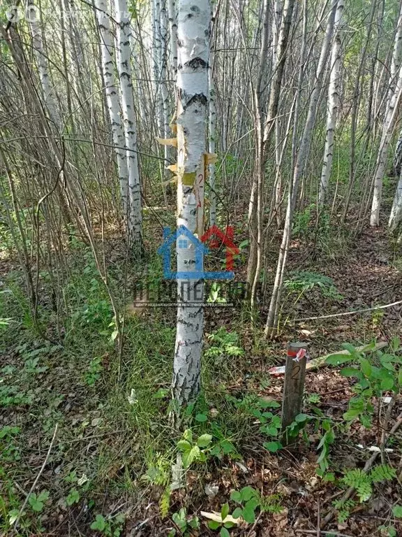 Участок в Тюменская область, Тобольск (8 м) - Фото 0
