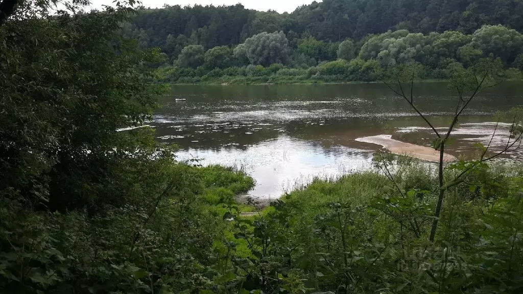 Участок в Тульская область, Алексинский район, д. Нижнее Ламоново, ... - Фото 1