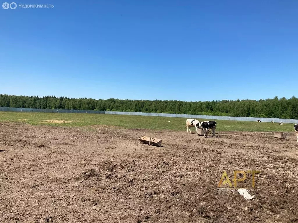 Участок в Раменский городской округ, территориальное управление ... - Фото 0