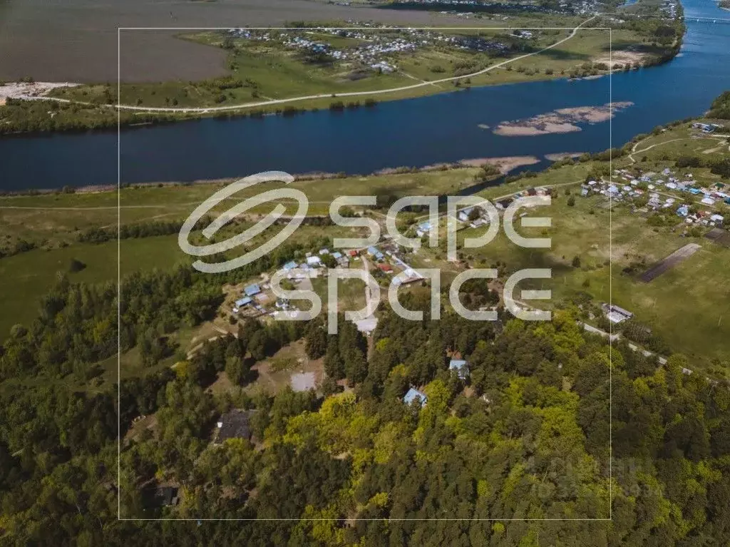 Участок в Рязанская область, Шацк  (800.0 сот.) - Фото 2