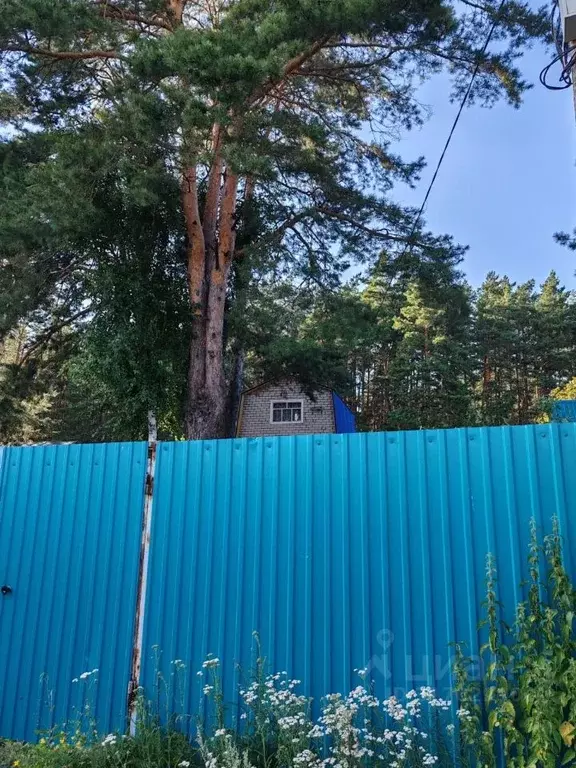 Дом в Татарстан, Набережные Челны Сосновая роща СТ,  (42 м) - Фото 0