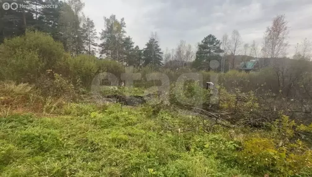Участок в Майминский район, село Соузга (75 м) - Фото 2