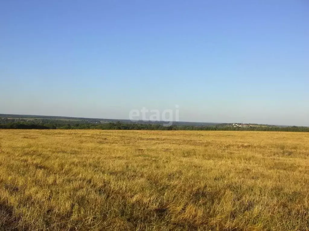Участок в Ярославская область, Ярославский муниципальный округ, ... - Фото 2