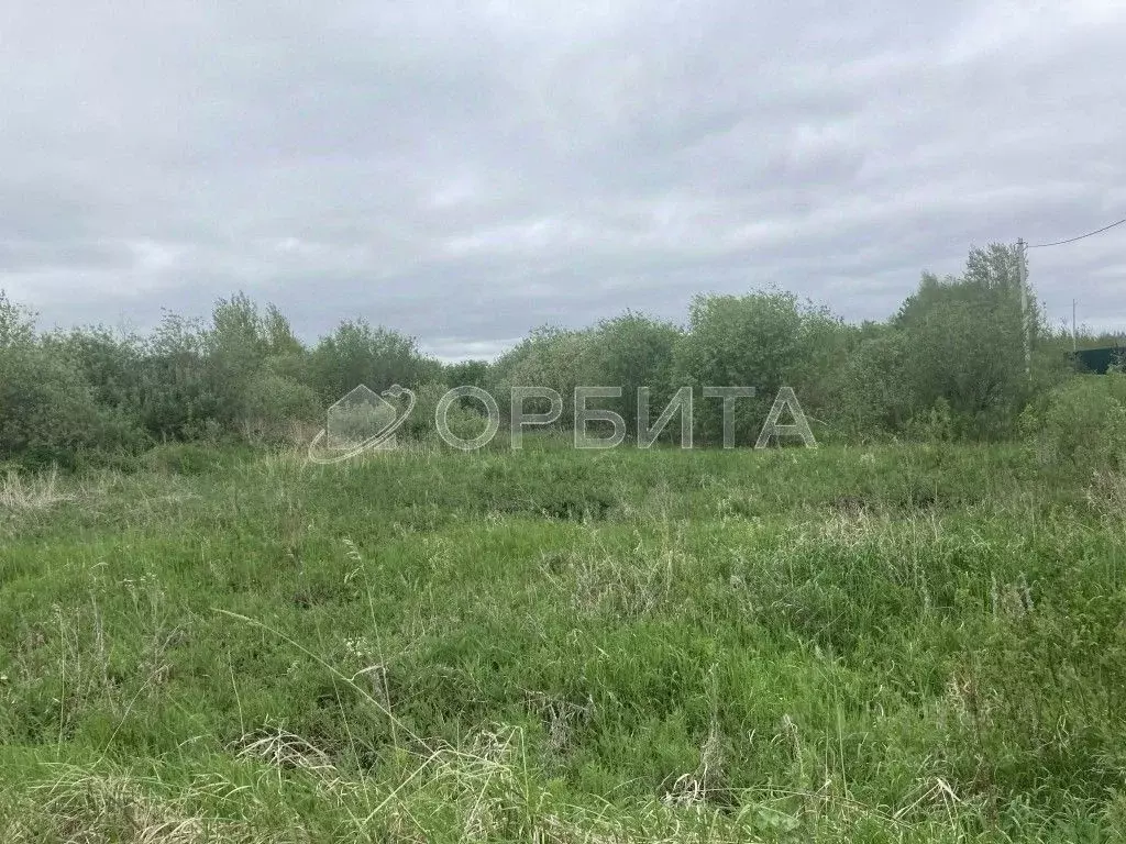 Участок в Тюменская область, Тюмень Садовое товарищество Липовый ... - Фото 1