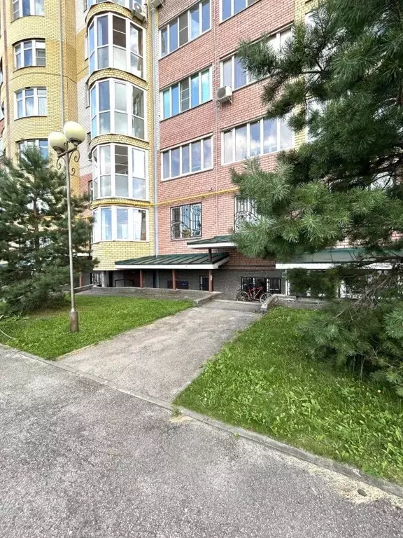 Офис в Нижегородская область, Кстово просп. Победы, 16 (37 м) - Фото 1