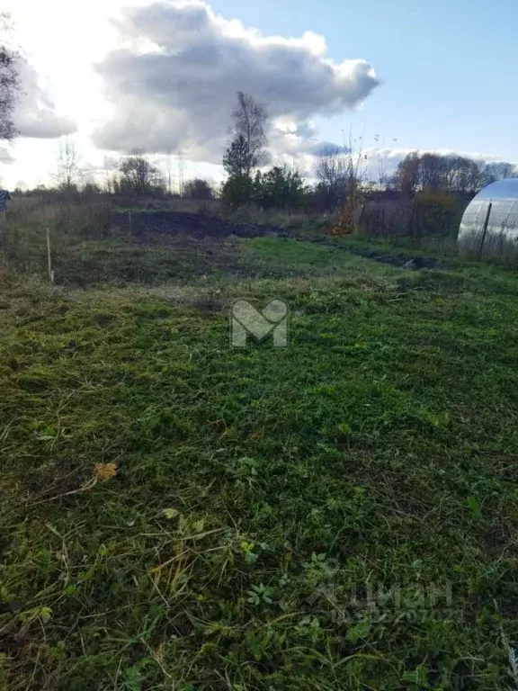 Участок в Ленинградская область, Волосовский район, Большеврудское ... - Фото 2