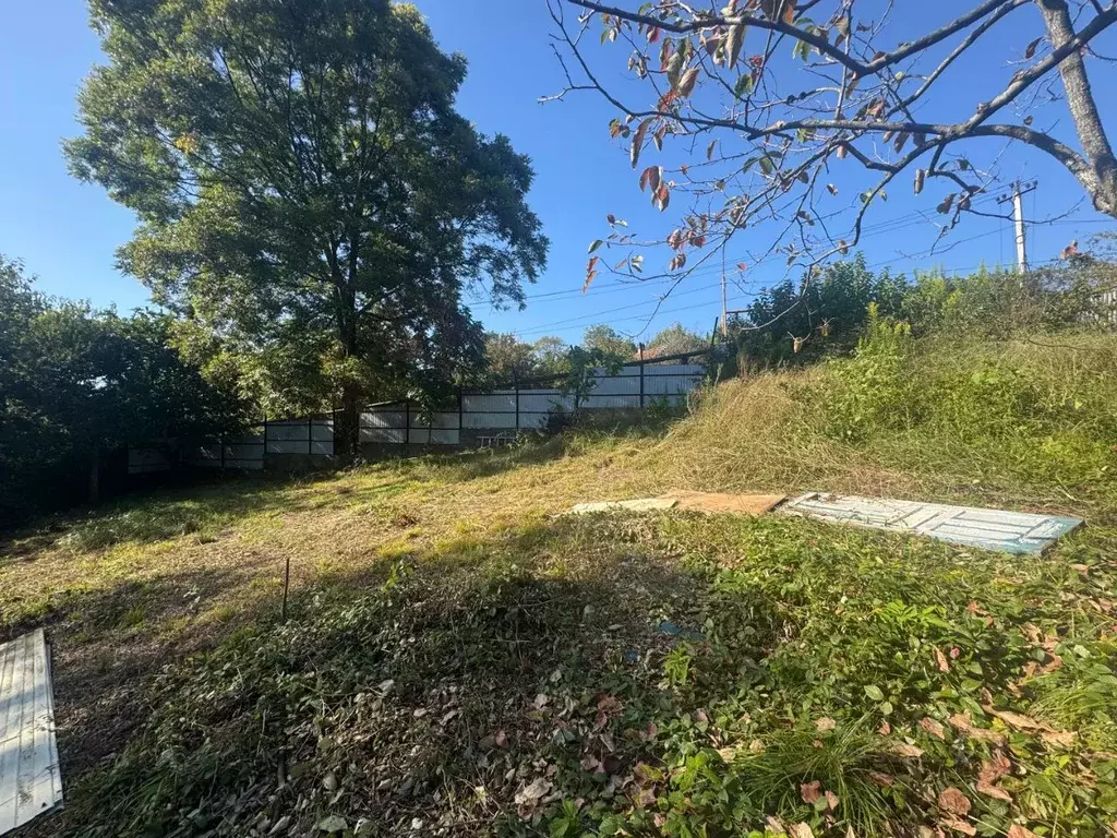 Участок в Краснодарский край, Сочи городской округ, с. Раздольное ул. ... - Фото 1