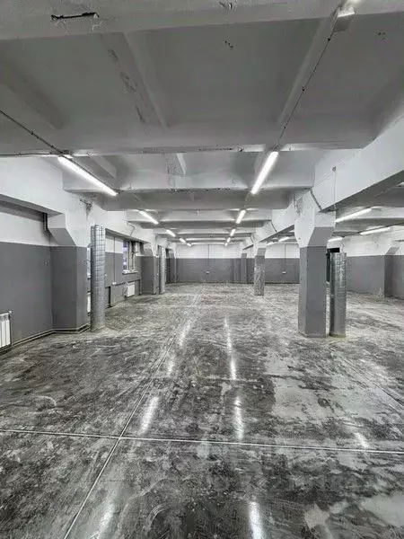 Помещение свободного назначения в Нижегородская область, Нижний ... - Фото 1