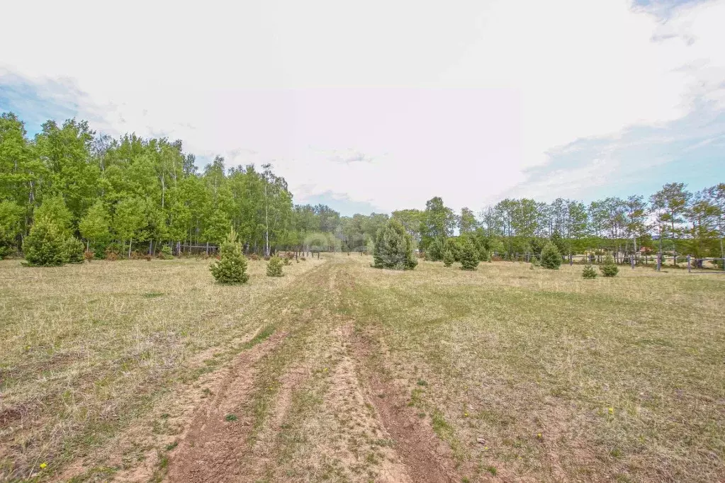 Участок в Бурятия, Кабанский район, с. Сухая  (134.4 сот.) - Фото 2