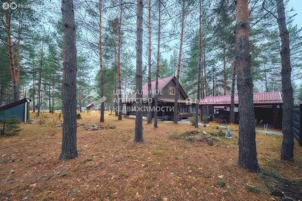 Дом в Панинское сельское поселение, садово-дачное товарищество ... - Фото 0