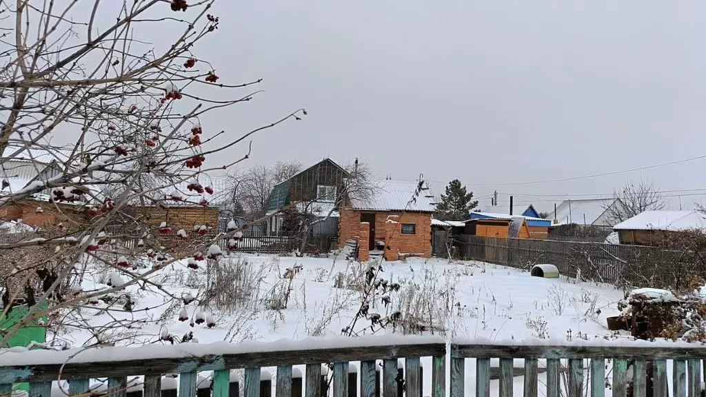 Дом в Омская область, Омск Птицевод-3 СНТ,  (24 м) - Фото 2