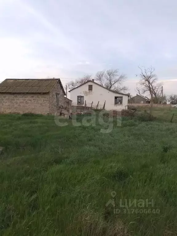 Дом в Крым, Черноморский район, Межводненское с/пос, с. Новоульяновка ... - Фото 0