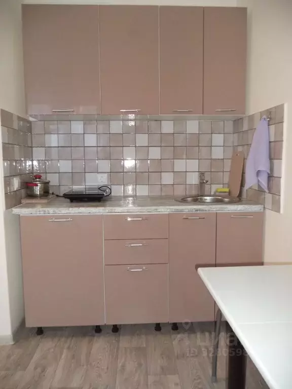 Студия Амурская область, Благовещенский район, с. Чигири ул. ... - Фото 1