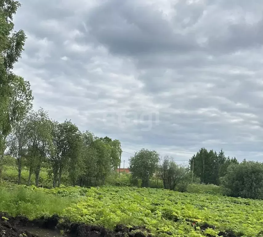 Участок в Коми, Сыктывкар проезд Юго-Западный, 352 (9.2 сот.) - Фото 1
