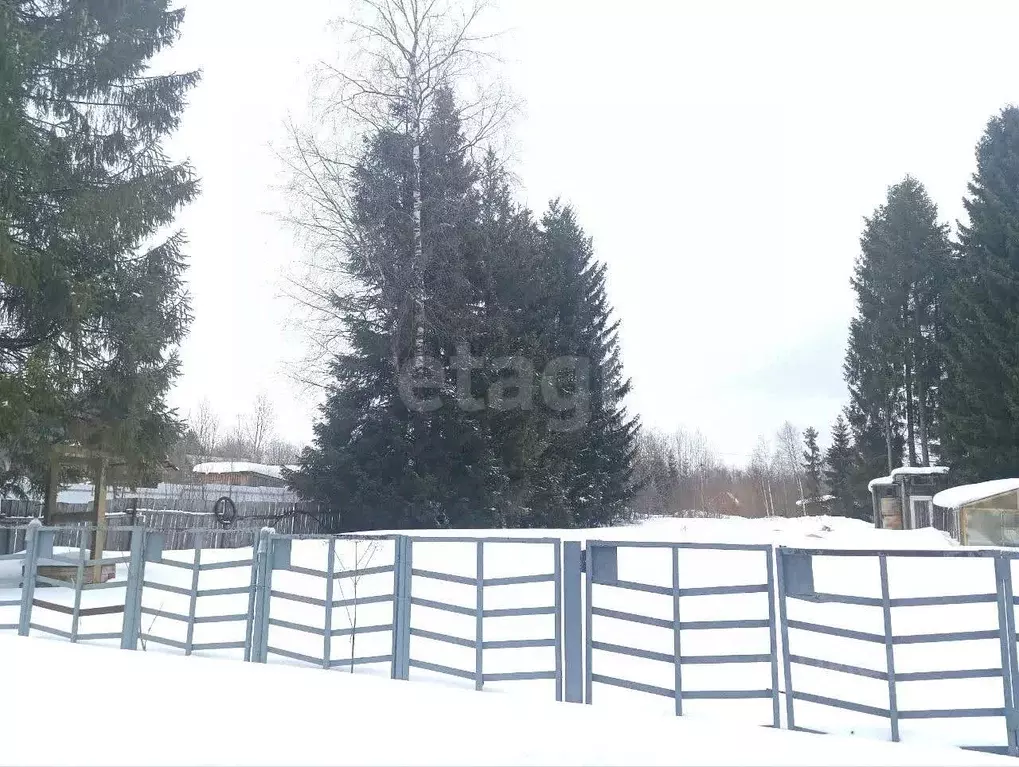 Участок в Вологодская область, Шограш садоводческое товарищество ул. ... - Фото 1