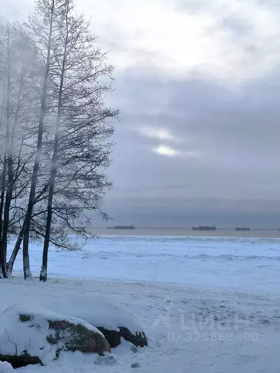 Дом в Ленинградская область, Выборгский район, Полянское с/пос, пос. ... - Фото 2