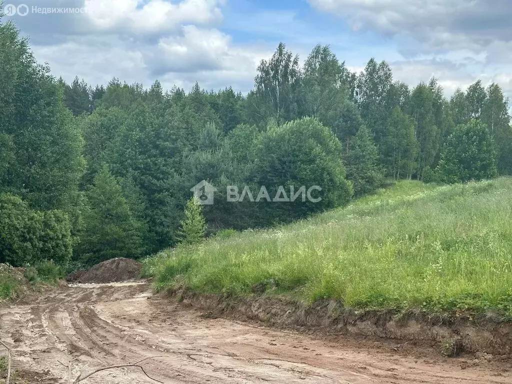 Участок в Нижегородская область, Богородский муниципальный округ, ... - Фото 1