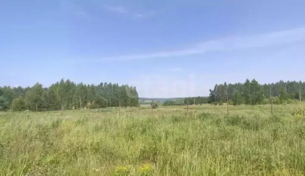 Участок в Татарстан, Зеленодольский район, Большекургузинское с/пос, ... - Фото 1