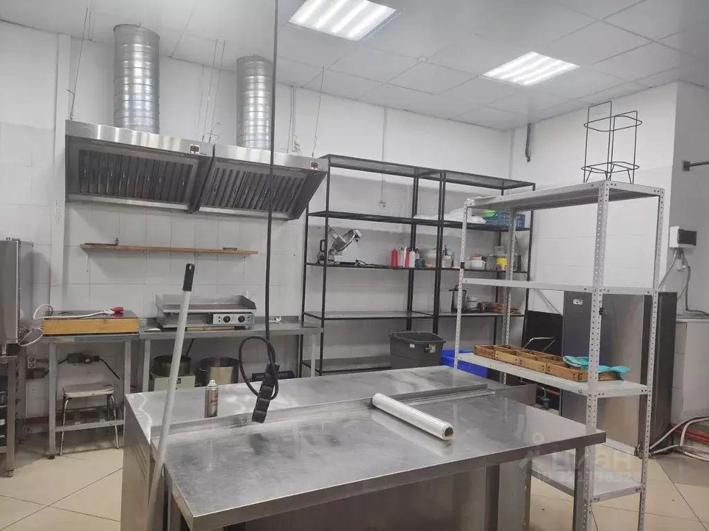 Помещение свободного назначения в Тюменская область, Тюмень ул. 50 лет ... - Фото 2