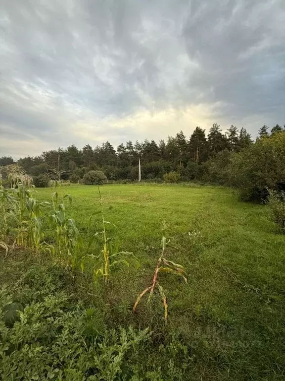 Участок в Татарстан, Лаишевский район, Никольское с/пос, д. Новая ... - Фото 1