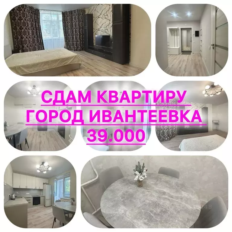 1-к кв. Московская область, Ивантеевка Пушкинский городской округ, ... - Фото 0