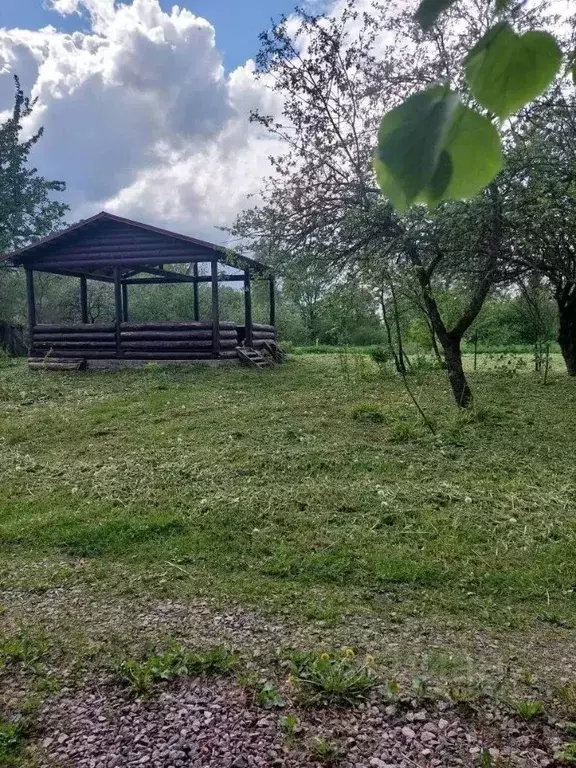 Участок в Ленинградская область, Кировский район, Мгинское городское ... - Фото 2