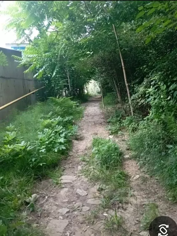 Участок в Краснодарский край, Сочи Бытха мкр, ул. Бытха (14.0 сот.) - Фото 2