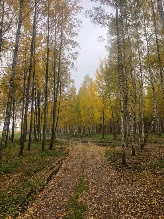 Участок в Тверская область, Конаковский муниципальный округ, д. ... - Фото 2