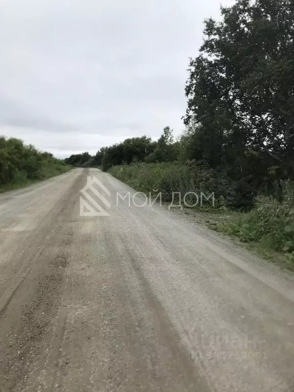 Участок в Сахалинская область, Анивский городской округ, с. Мицулевка  ... - Фото 1