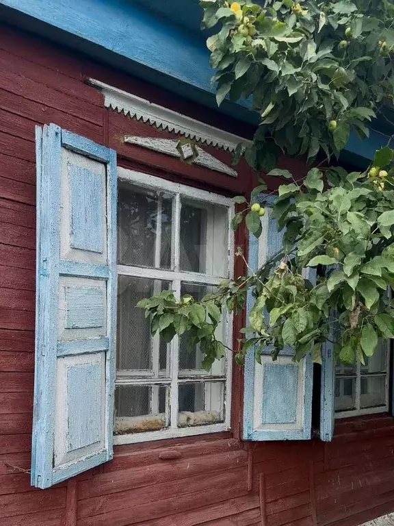 Дом 55 м на участке 12 сот. - Фото 0