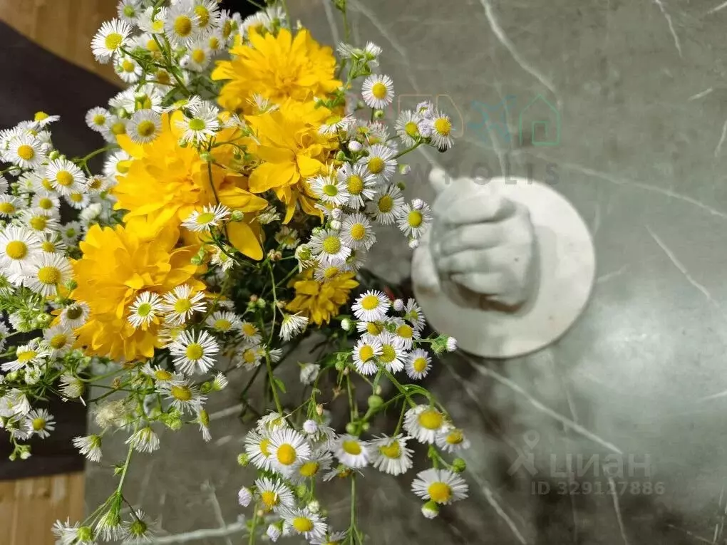 Коттедж в Московская область, Домодедово Новое Косино кп, 91 (150 м) - Фото 1