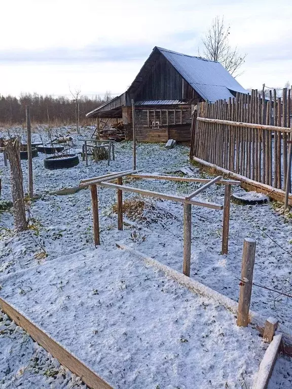 Дом в Новгородская область, Крестецкий муниципальный округ, деревня ... - Фото 0