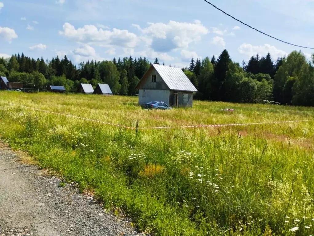 Дом в Московская область, Шаховская городской округ, с. Черленково ул. ... - Фото 1