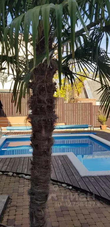 Дом в Краснодарский край, Геленджик городской округ, Широкая Щель ... - Фото 1