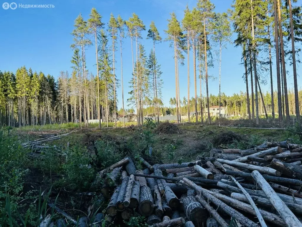 Участок в Сертоловское городское поселение, дачное некоммерческое ... - Фото 0