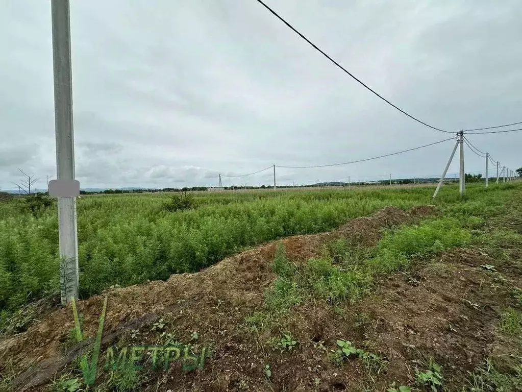 Участок в Приморский край, Надеждинский район, пос. Зима Южная ул. ... - Фото 0