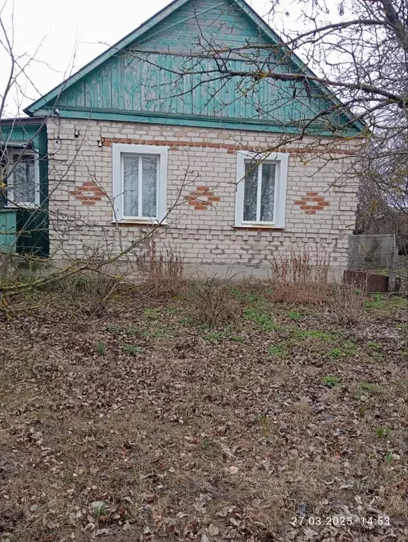 Дом в Липецкая область, Добровский муниципальный округ, с. Борисовка ... - Фото 1