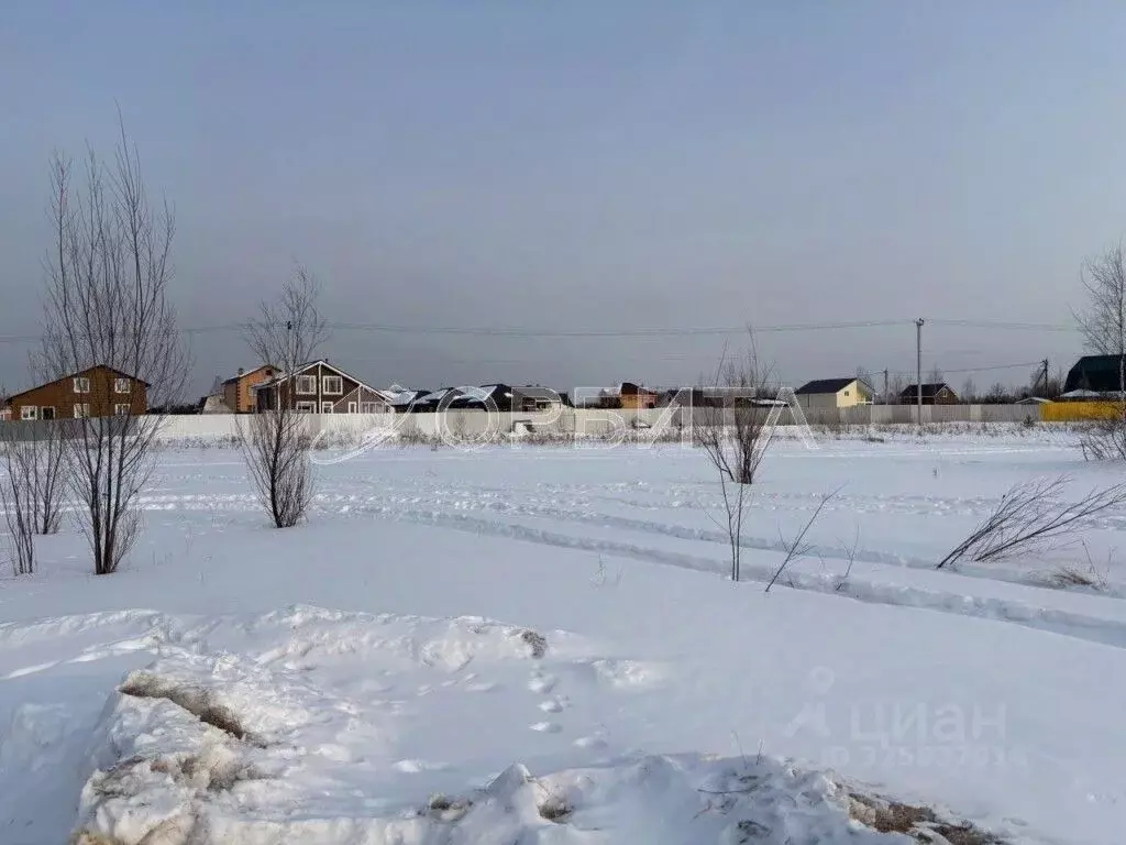 Участок в Тюменская область, Нижнетавдинский муниципальный округ, ... - Фото 2