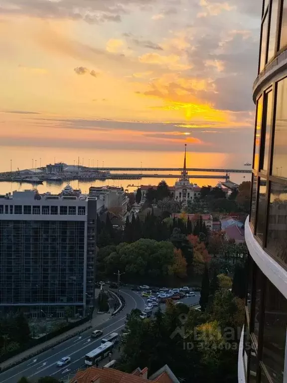 Студия Краснодарский край, Сочи Центральный мкр, ул. Войкова, 27 (31.0 ... - Фото 2