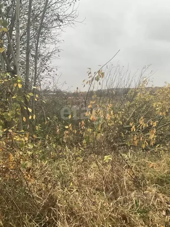 Участок в Калининградская область, Гурьевский муниципальный округ, ... - Фото 1