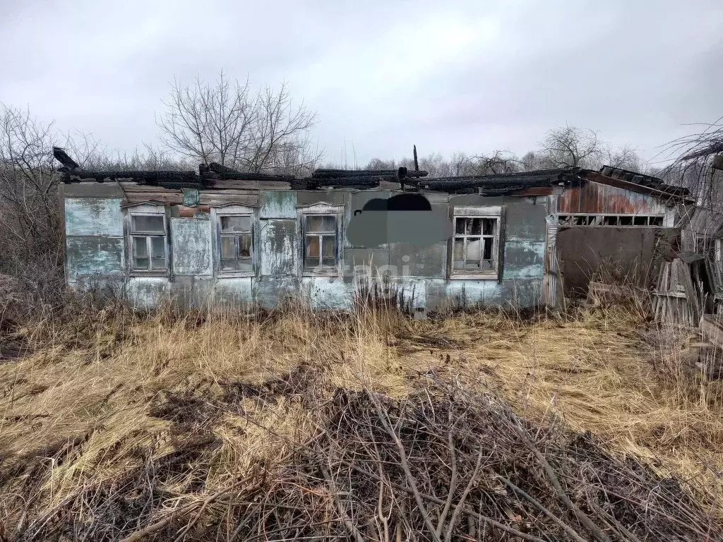 Участок в Брянская область, Фокино ул. Пушкина (25.5 сот.) - Фото 1