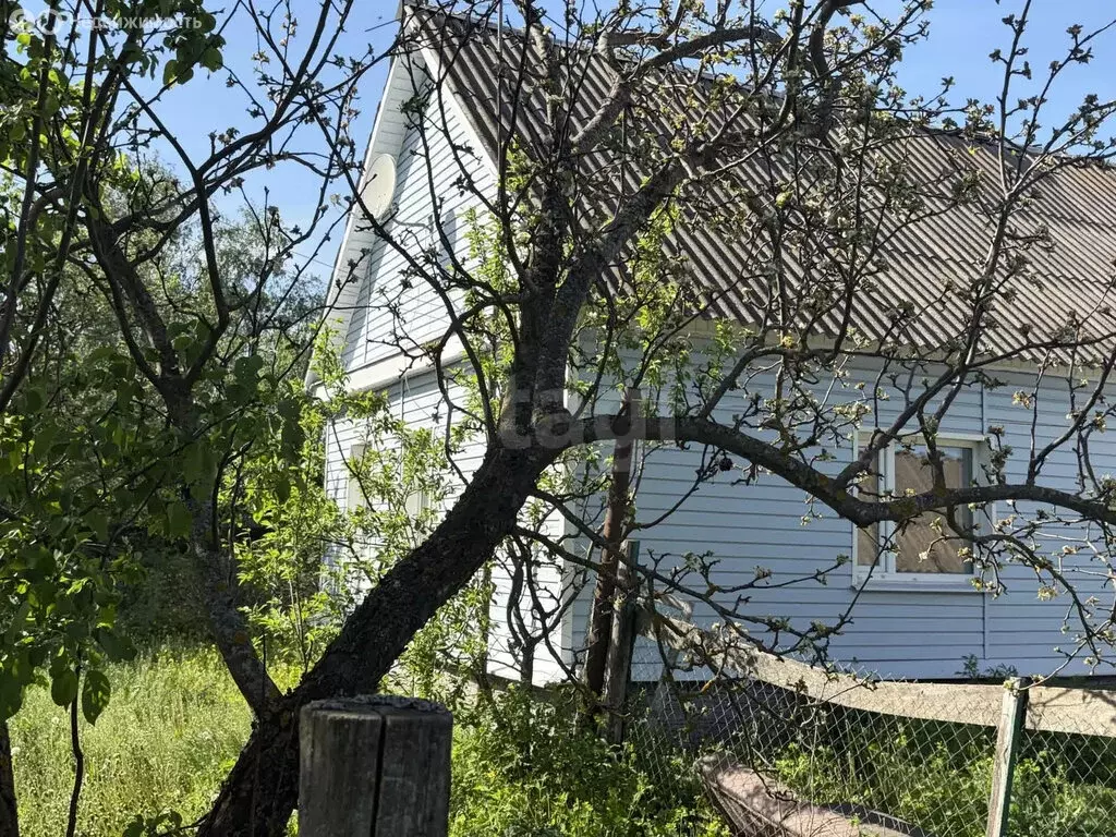 Дом в село Старое Хмелевое, улица Пасека (46.8 м) - Фото 1