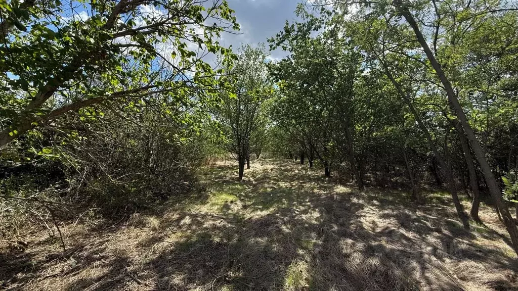 Участок в Ростовская область, Усть-Донецкий район, Мелиховская ст-ца ... - Фото 2