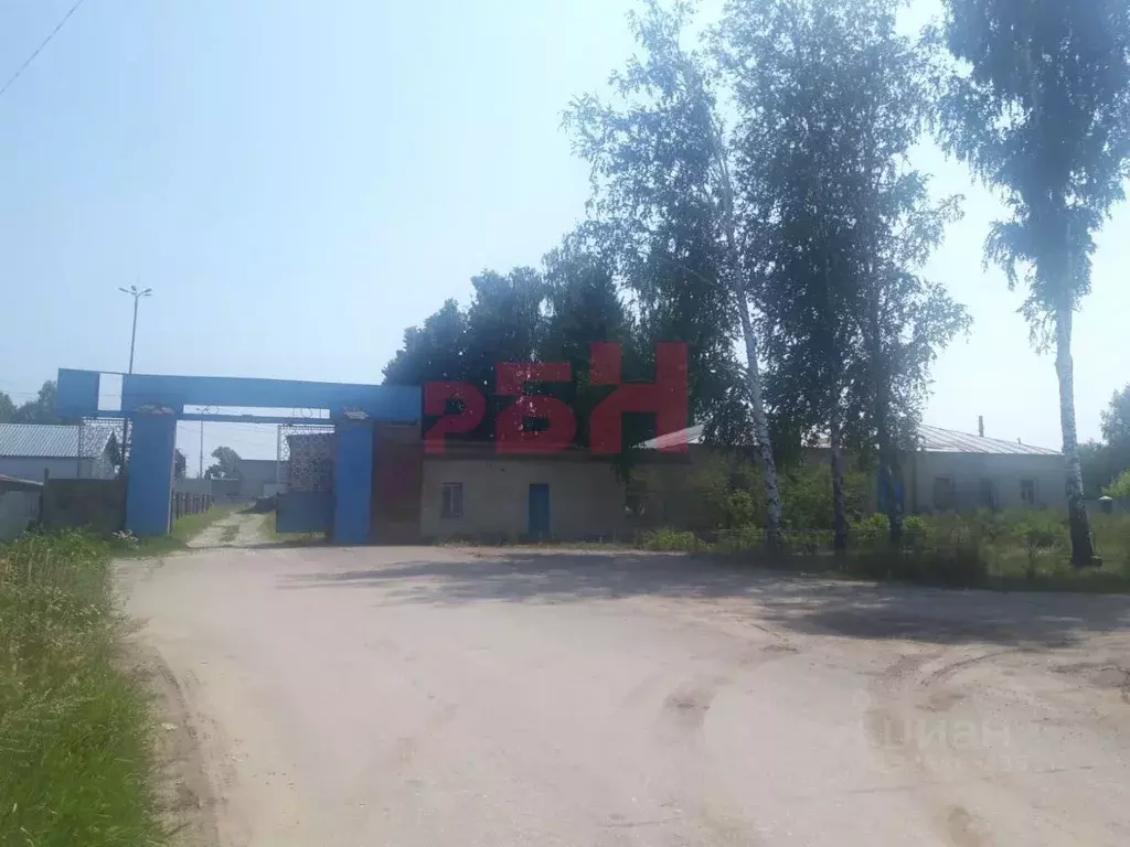 Производственное помещение в Пензенская область, Шемышейка пгт ул. ... - Фото 1