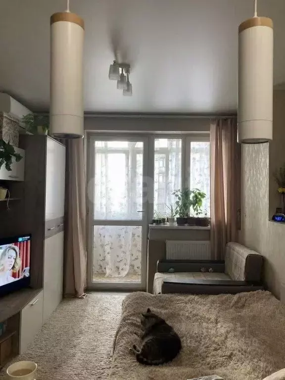 Студия Ростовская область, Ростов-на-Дону ул. Герасименко, 17/2 (24.0 ... - Фото 0