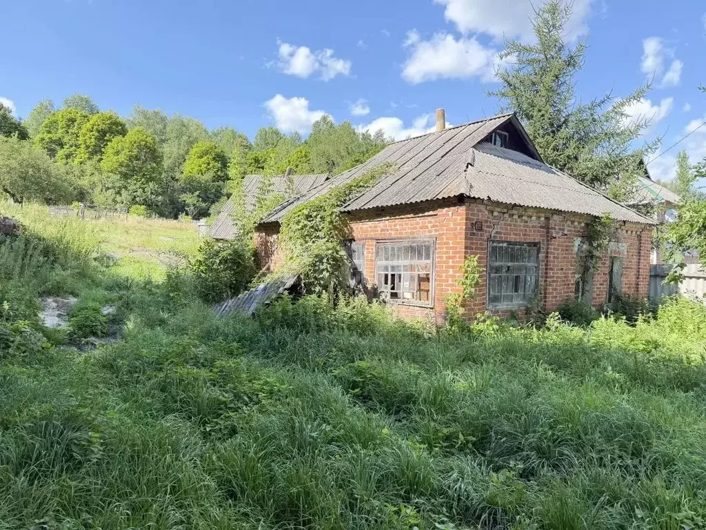 Участок в Белгородская область, Борисовский муниципальный округ, с. ... - Фото 1