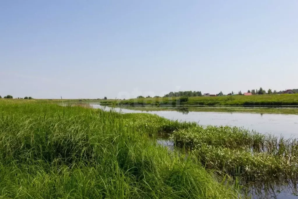 Участок в Ярославская область, Ярославский муниципальный округ, ... - Фото 1